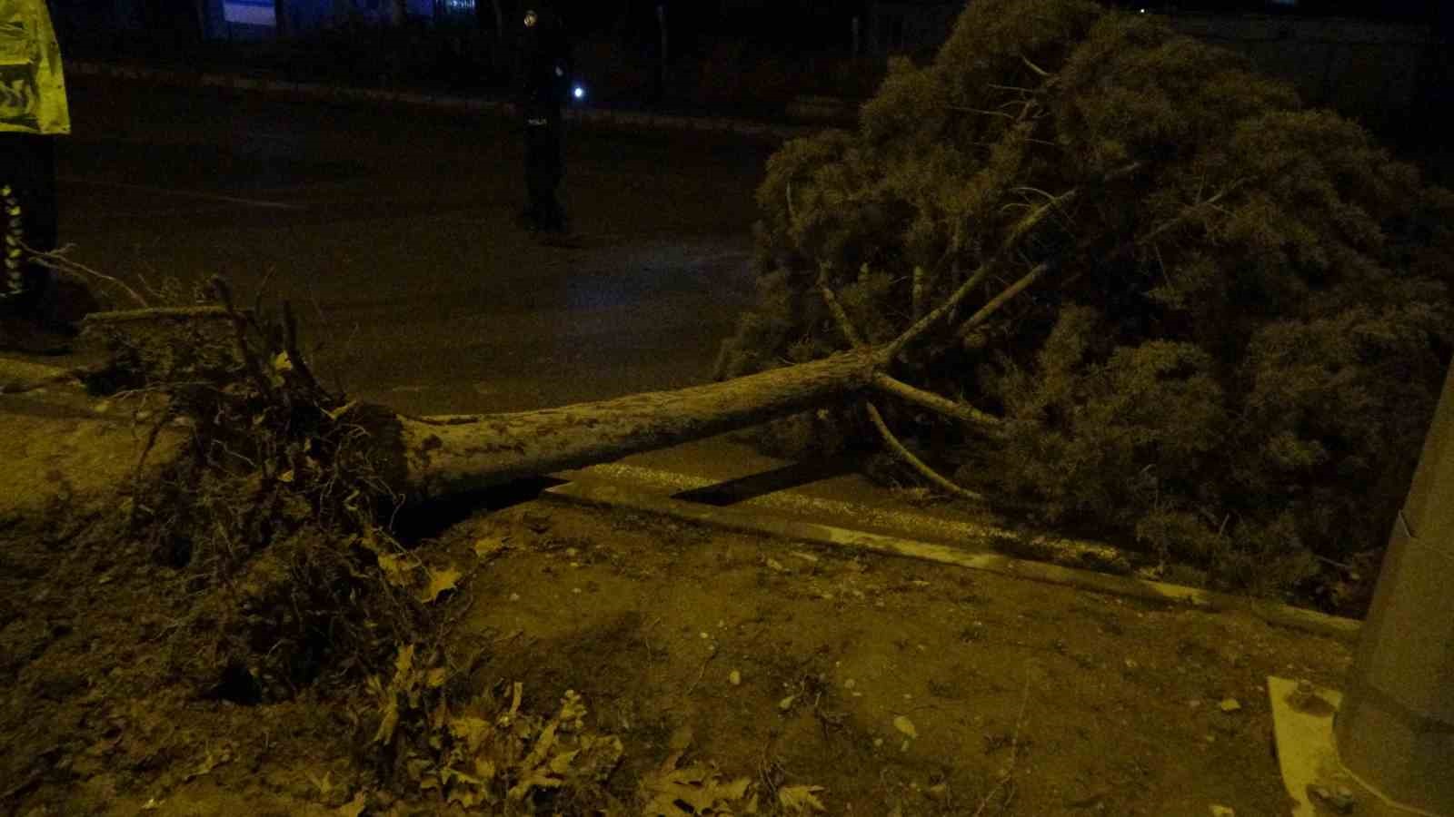 malatyada firtina agaclari kokunden soktu 1 JddaiyzI