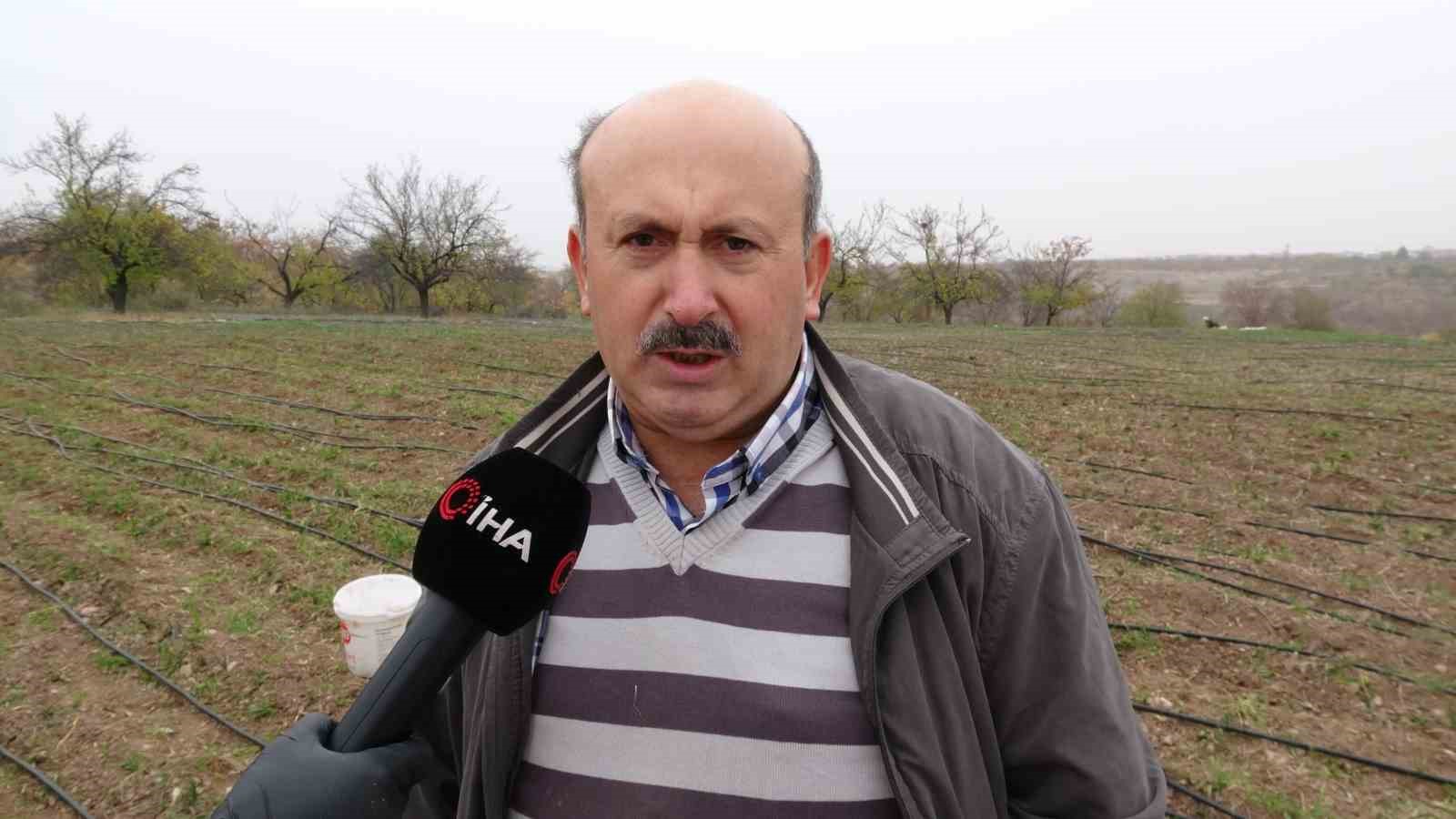 malatyada grami 600 tl olan safran yok satiyor 5 VWd18y2N