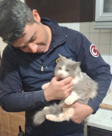 malatyada-havalandirma-bosluguna-dusen-kedi-kurtarildi-aWTVJWga.jpg