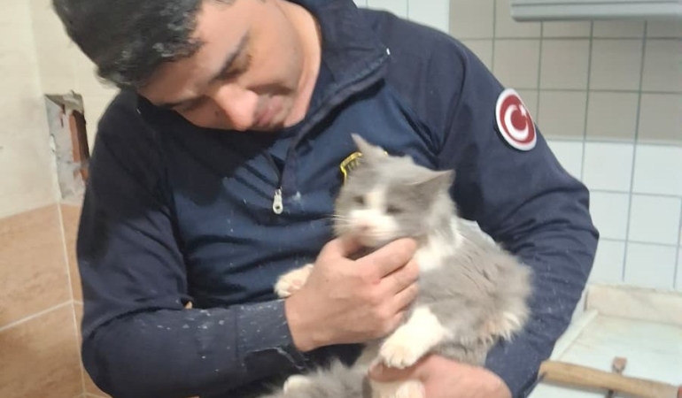 malatyada-havalandirma-bosluguna-dusen-kedi-kurtarildi-aWTVJWga.jpg