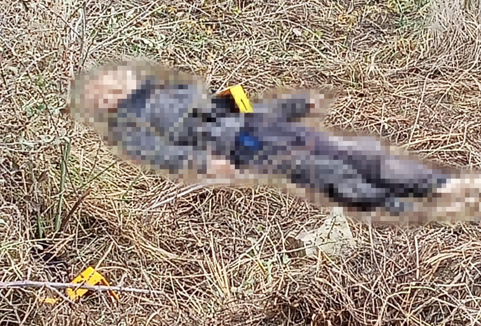 malatyada kayip olarak aranan yasli adam olu bulundu 4 66NqfV8p