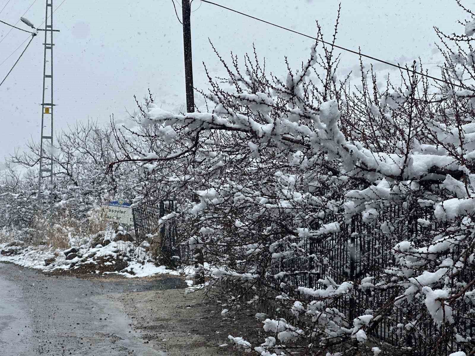 malatyada kayisi bahceleri kar altinda kaldi 1 U4ZOm2nC