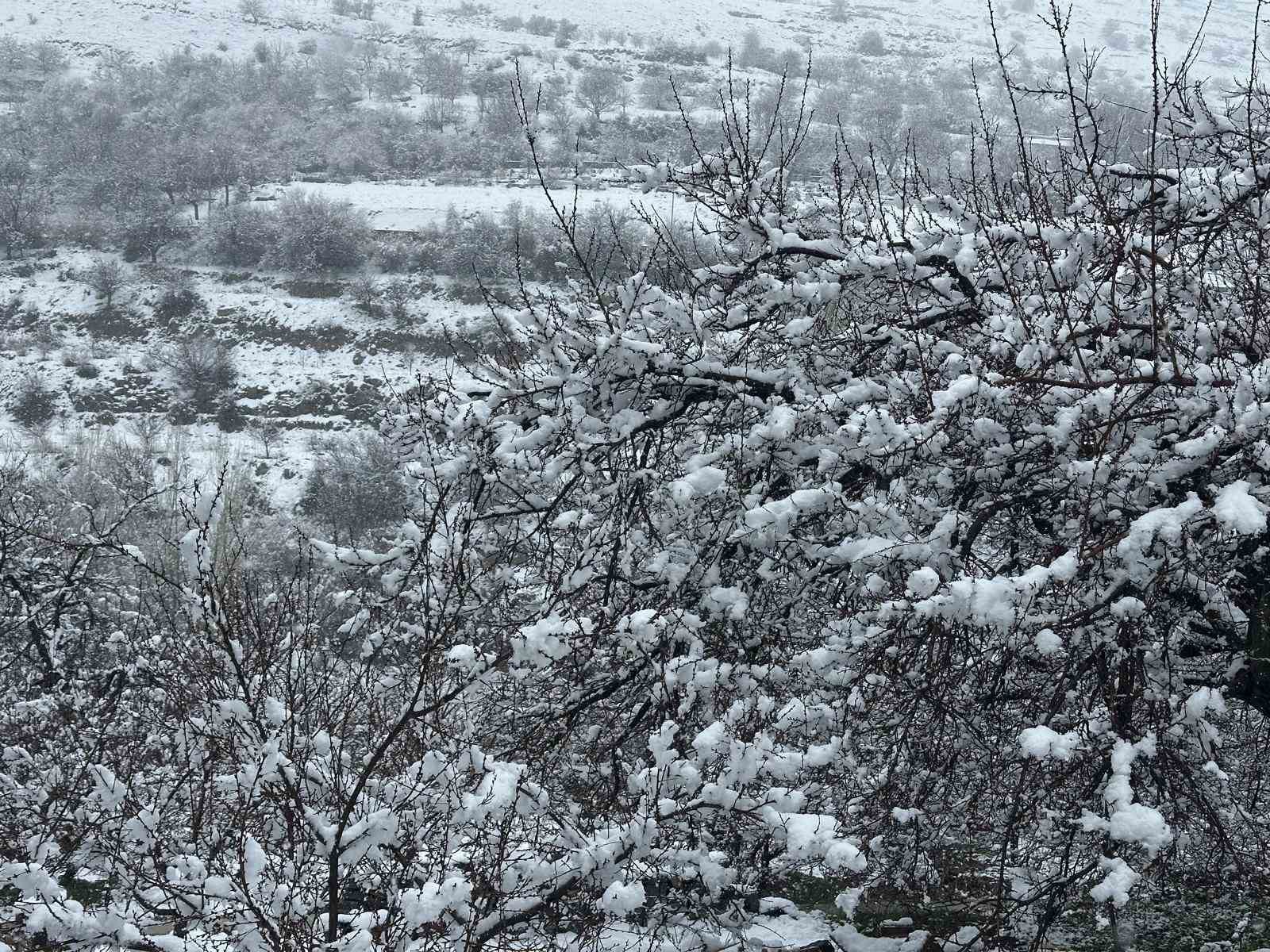malatyada kayisi bahceleri kar altinda kaldi 4 ZbaYdFOX