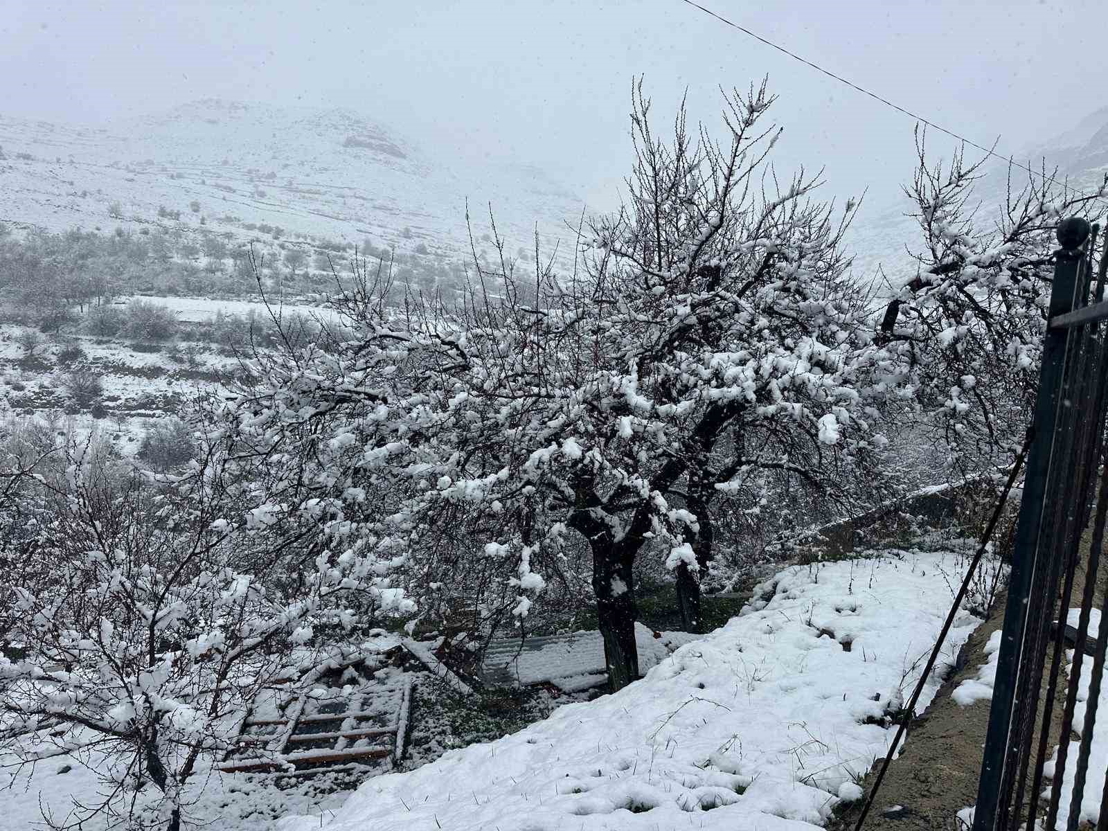 malatyada kayisi bahceleri kar altinda kaldi 5 1s8BVwDT