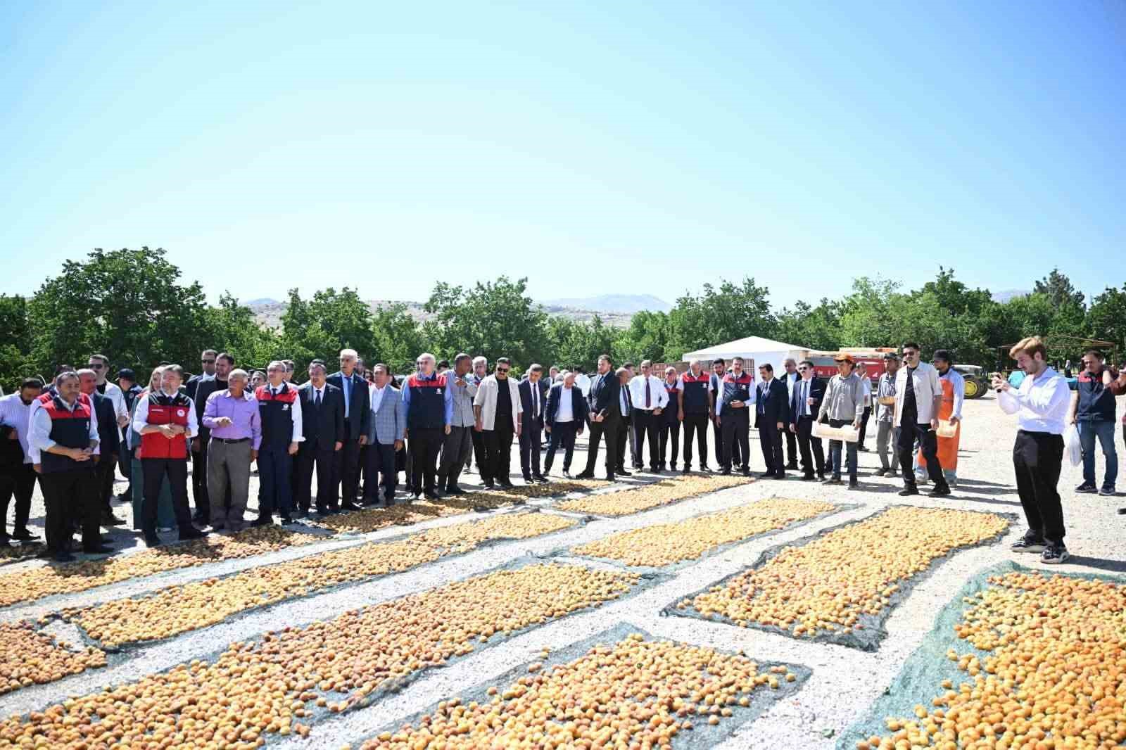 Malatya’da kayısı hasadına katılan Bakan Yumaklı: "Geçtiğimiz senenin o karamsar zamanını üzerimizden atan çok güzel bir ürün görüyoruz" 7 malatyada kayisi hasadina katilan bakan yumakli gectigimiz senenin o karamsar zamanini uzerimizden atan cok YVgXAOam