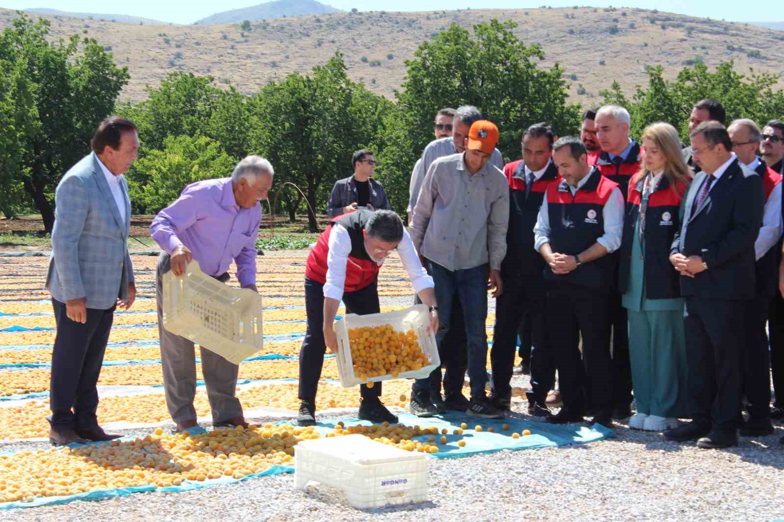 Malatya’da kayısı hasadına katılan Bakan Yumaklı: "Geçtiğimiz senenin o karamsar zamanını üzerimizden atan çok güzel bir ürün görüyoruz" 6 malatyada kayisi hasadina katilan bakan yumakli gectigimiz senenin o karamsar zamanini uzerimizden atan cok