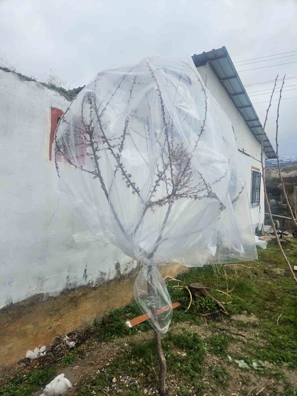 malatyada kayisi ureticileri zirai don icin alarma gecti 1 wMQCI3Hu