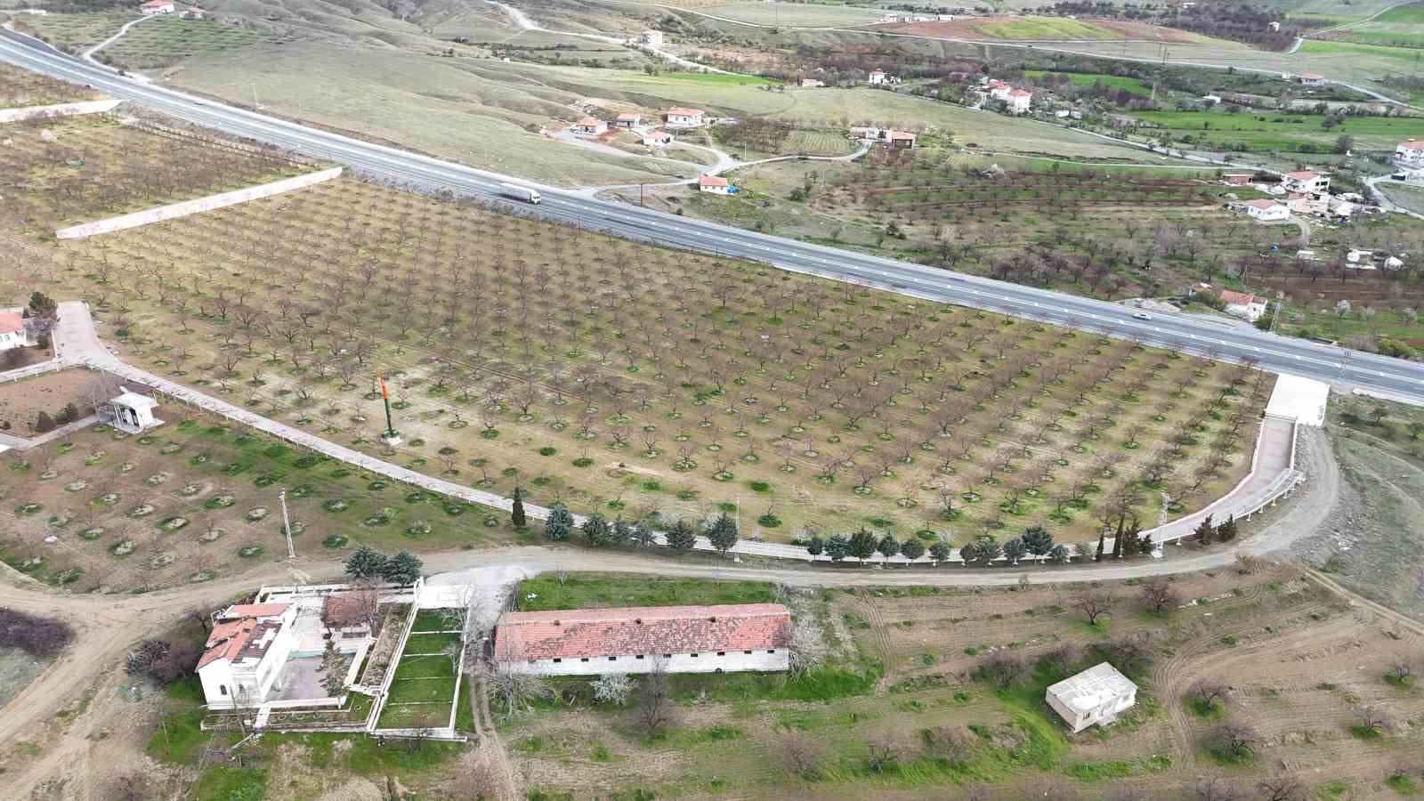 malatyada kayisi ureticileri zirai dona karsi onlem aliyor 0 8Vjzi4YJ