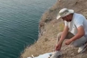 Elazığ’da dağ keçileri dronla görüntülendi 1 thumbnail