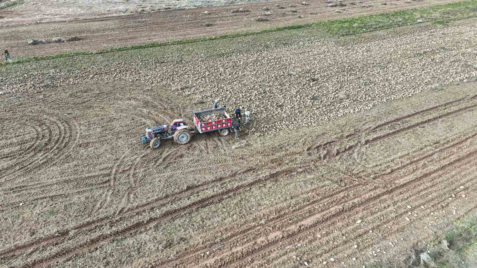 malatyada seker pancarinda yuksek verim ciftcinin yuzunu guldurdu 1 DCpGlWwH