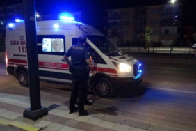 Gaziantep’te 215 kök kenevir ele geçirildi: 1 gözaltı 2 thumbnail