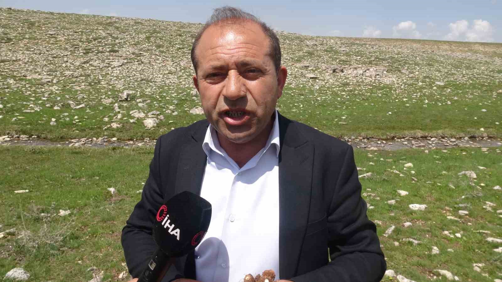 malatyada yuksek rakimli bolgelerde cigdem mesaisi 3 dQ7hfl4l