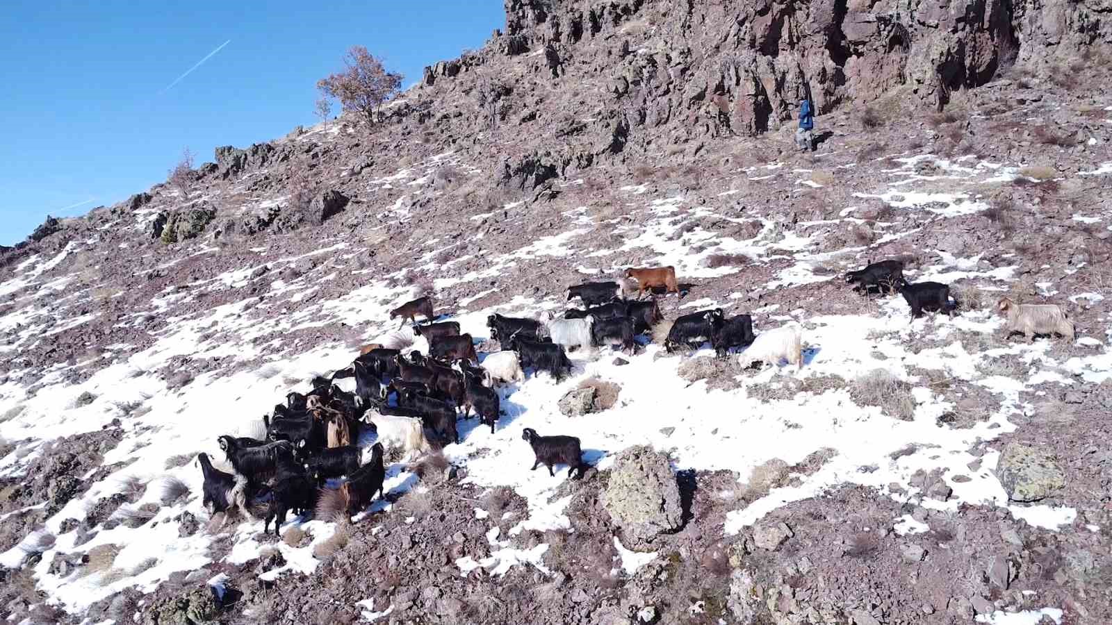Malatyalı yetiştiriciler zorlu hava şartlarına rağmen üretimi sürdürüyor 6 malatyali yetistiriciler zorlu hava sartlarina ragmen uretimi surduruyor 2 yqJLpaBm