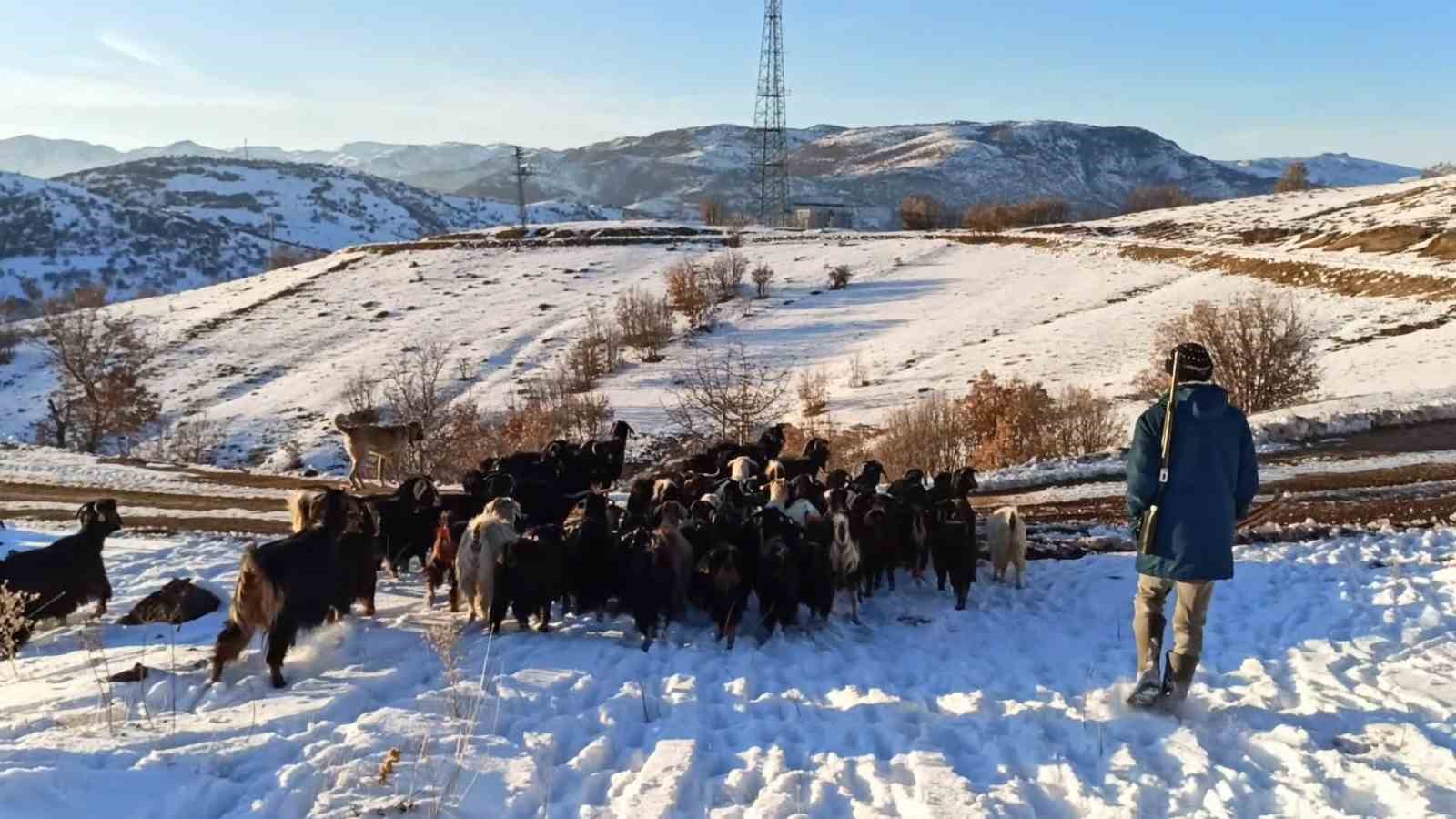 Malatyalı yetiştiriciler zorlu hava şartlarına rağmen üretimi sürdürüyor 10 malatyali yetistiriciler zorlu hava sartlarina ragmen uretimi surduruyor 6 6SLnXBWL