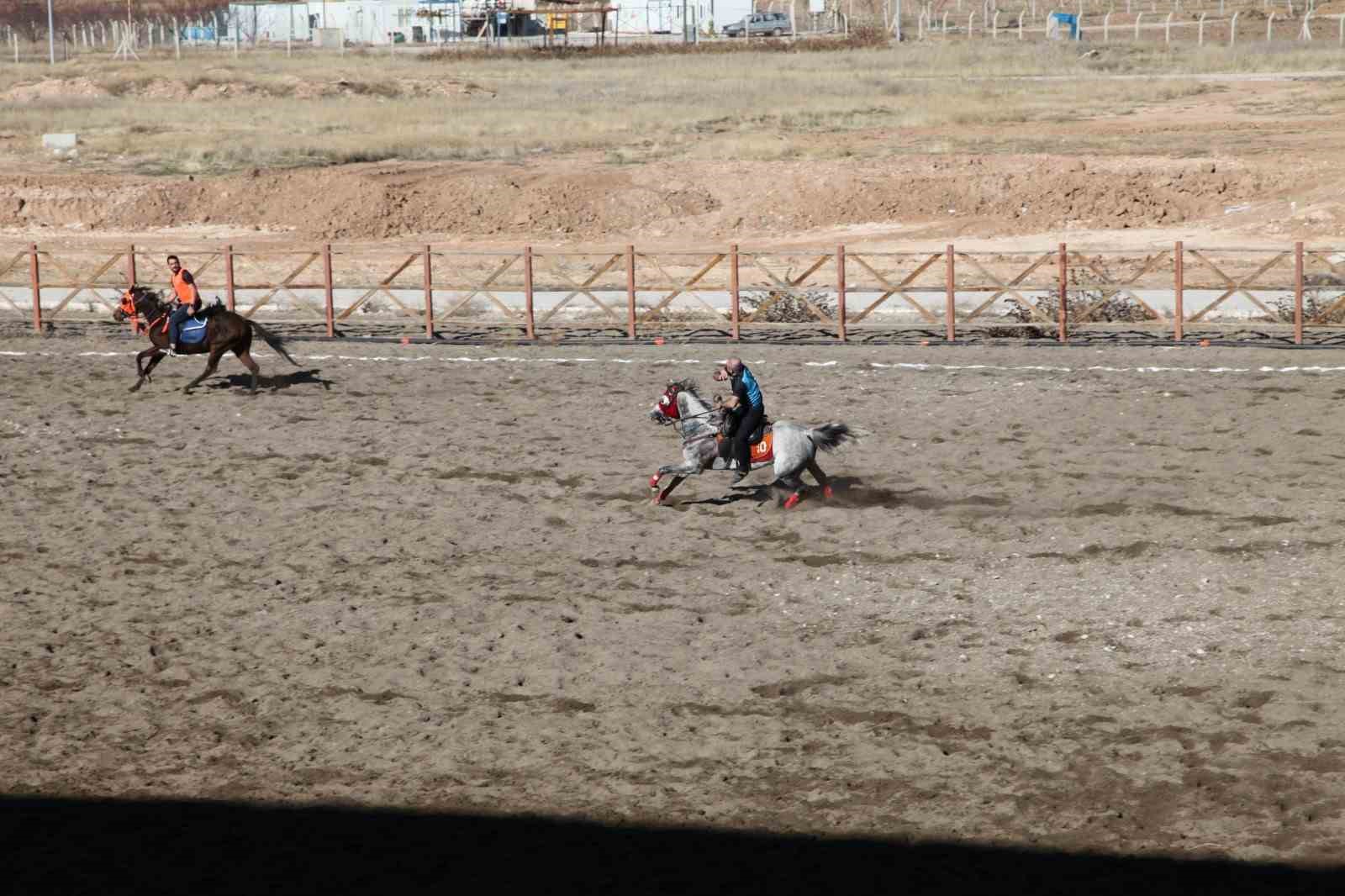 malatyanin yazihan ilcesinde ata sporu atli cirit yasatiliyor 0 dfAG4q4l
