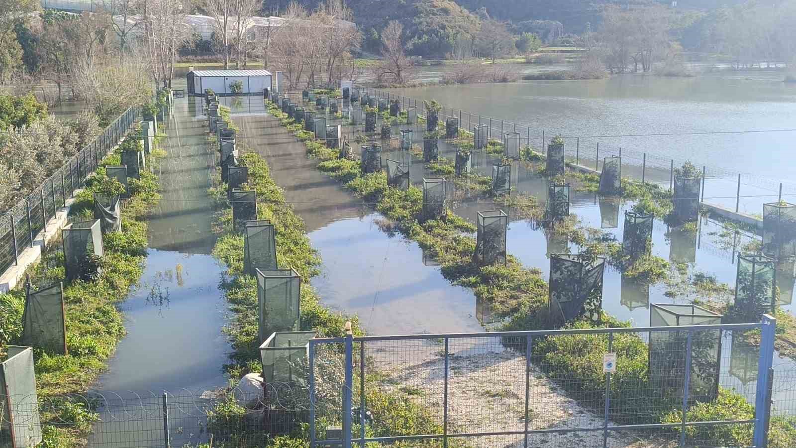 manavgat irmagi tasti antalya alanya otoban santiyesi sular altinda kaldi 5 v438iGlr