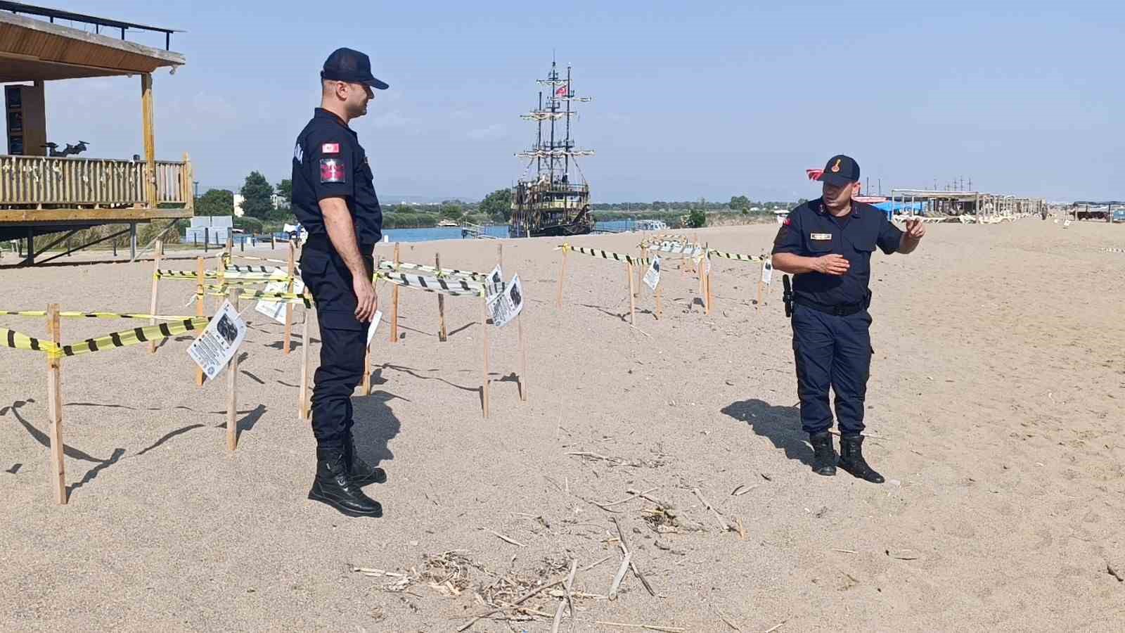 Manavgat’ta caretta caretta yavrularına koruma nöbeti 8 manavgatta caretta caretta yavrularina koruma nobeti 4 AT15pzI7