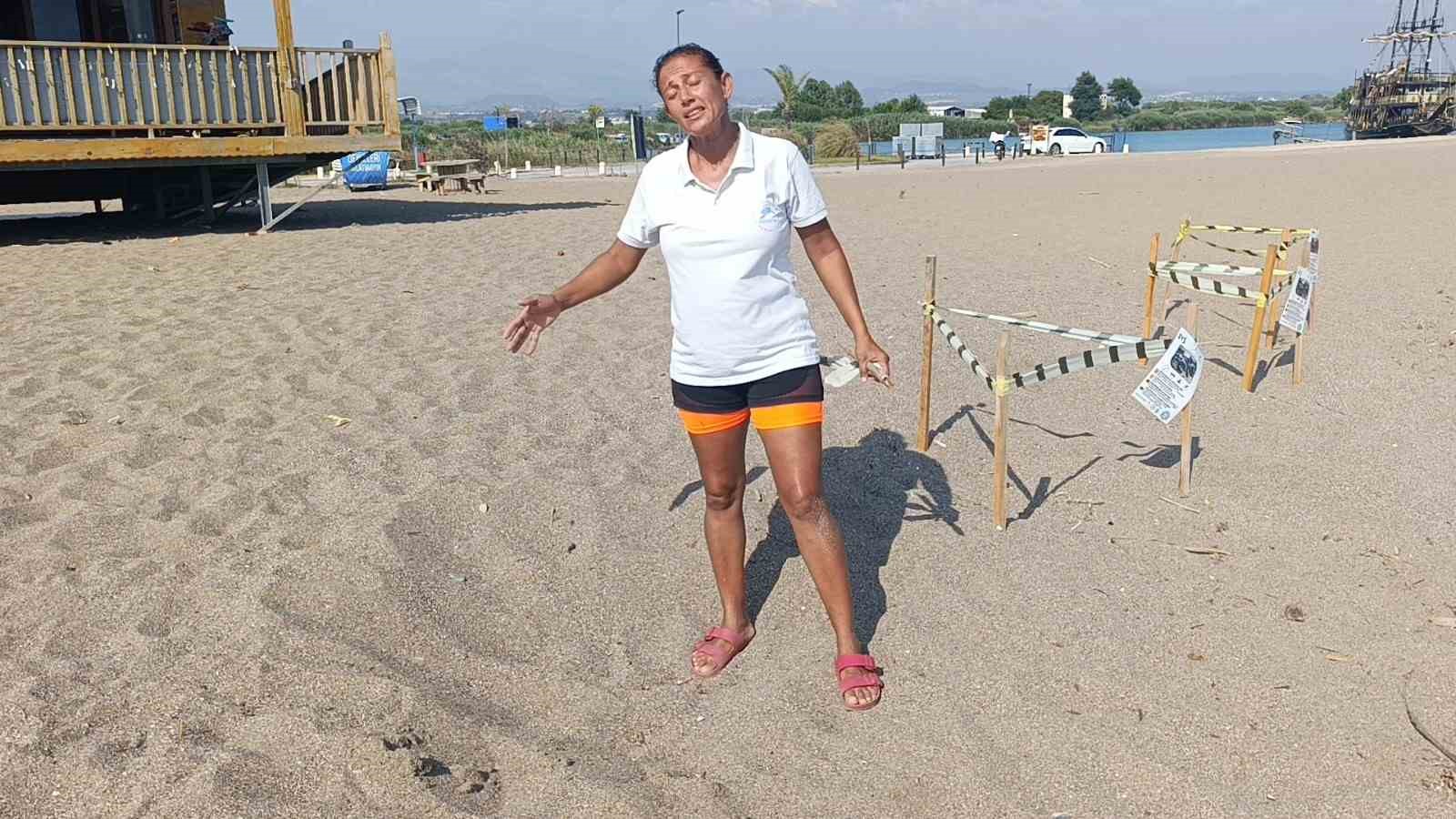 Manavgat’ta caretta caretta yavrularına koruma nöbeti 9 manavgatta caretta caretta yavrularina koruma nobeti 5