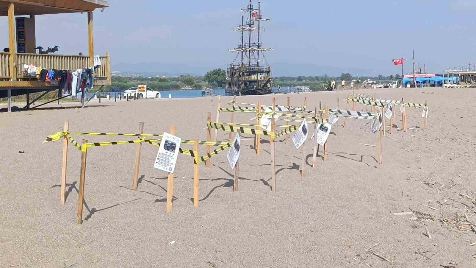 Manavgat’ta caretta caretta yavrularına koruma nöbeti 11 manavgatta caretta caretta yavrularina koruma nobeti 7 5t7dlu8S