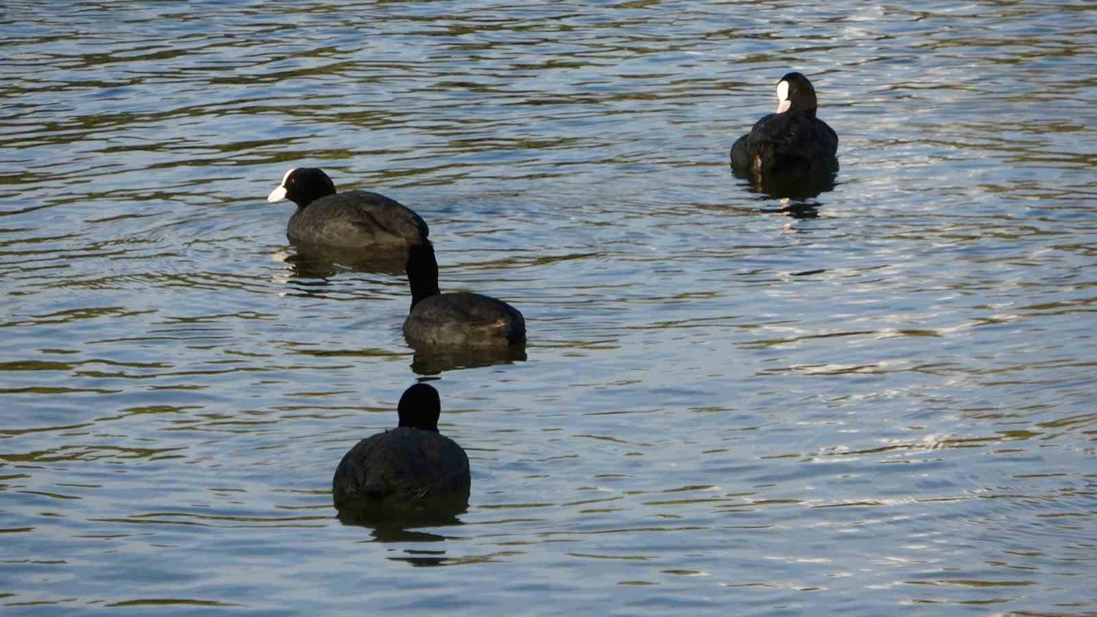 manavgatta dev dalgalar titreyengolu denizle birlestirdi 1 bq2ajnJD