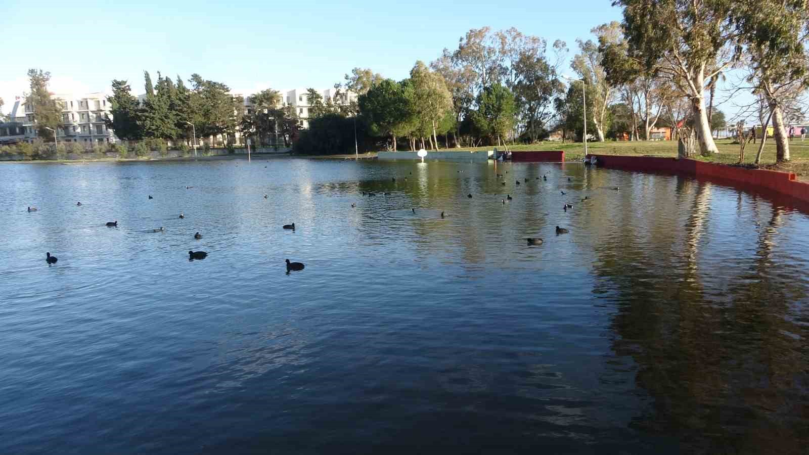manavgatta dev dalgalar titreyengolu denizle birlestirdi 2 edGypYFt