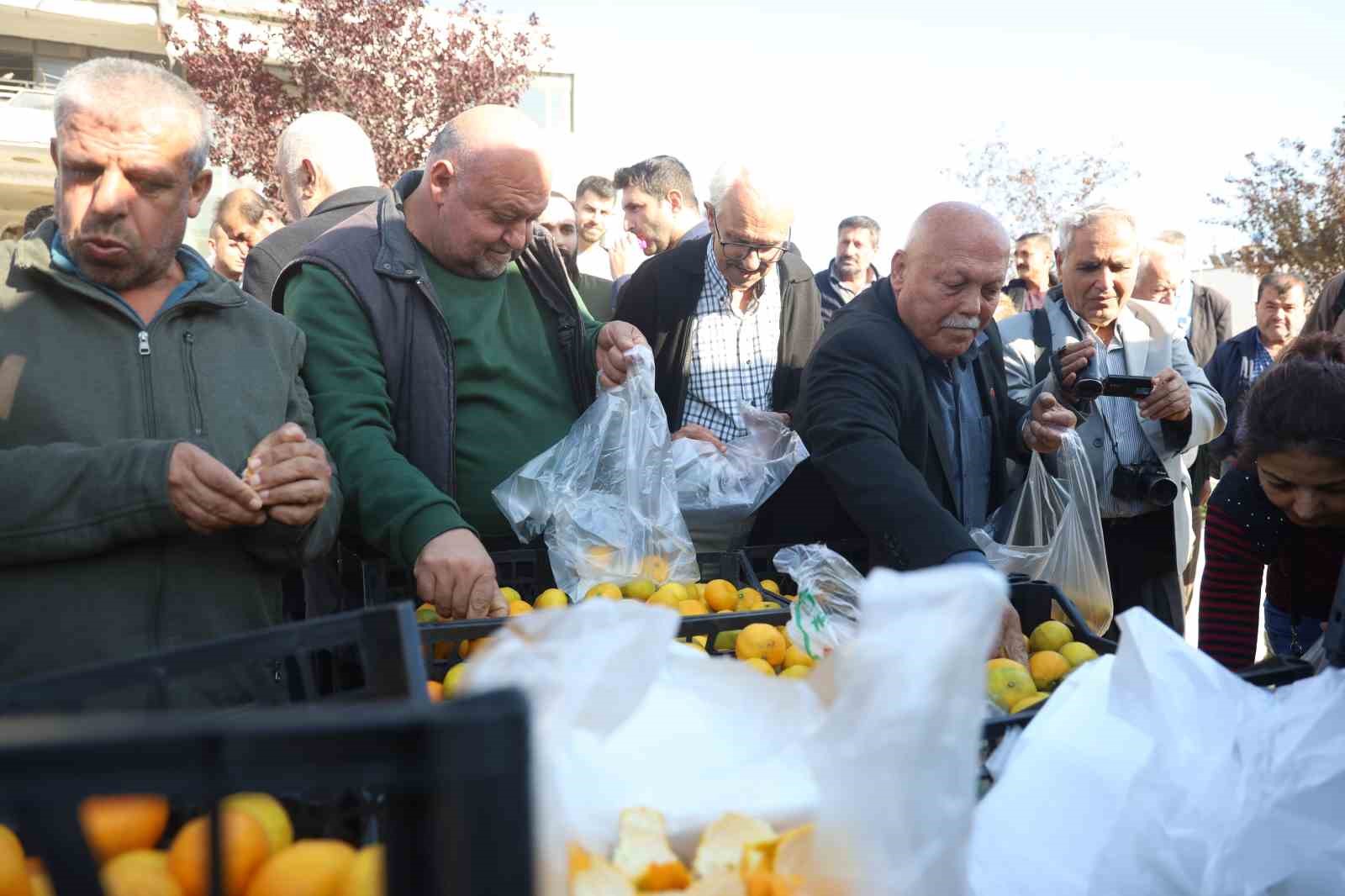 mandalinanin fiyati 2 tlye dusunce tonlarca urunu vatandaslara ucretsiz dagittilar 0
