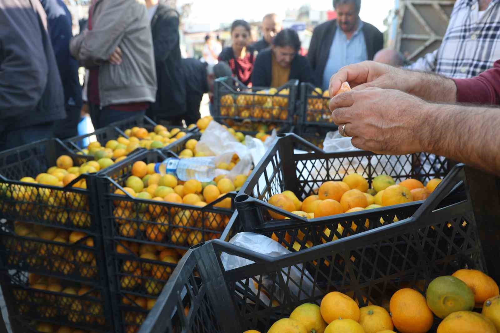 mandalinanin fiyati 2 tlye dusunce tonlarca urunu vatandaslara ucretsiz dagittilar 5 yrpTm5N5