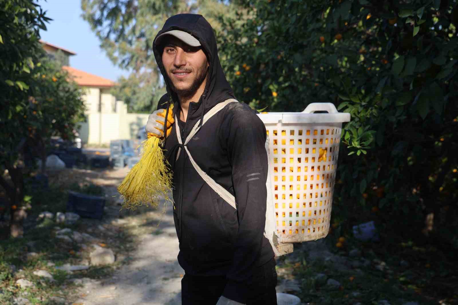mandalinanin fiyati 2 tlye dusunce tonlarca urunu vatandaslara ucretsiz dagittilar 9