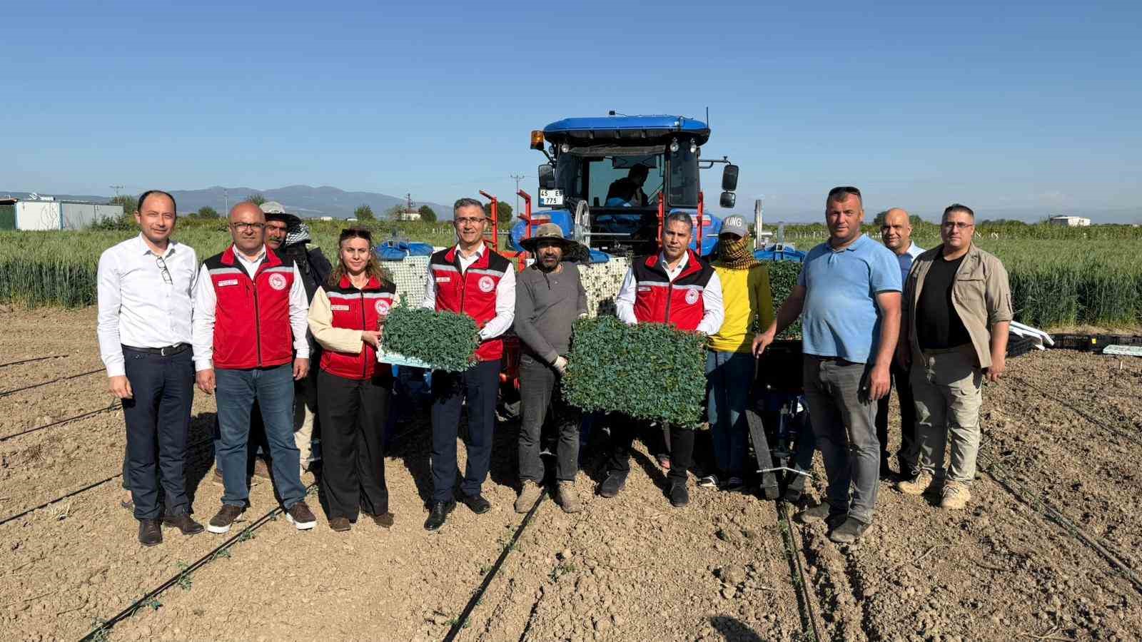 Manisa’da 131 bin dekarlık alanda domates mesaisi 4 manisada 131 bin dekarlik alanda domates mesaisi 0 RuzPFrdd