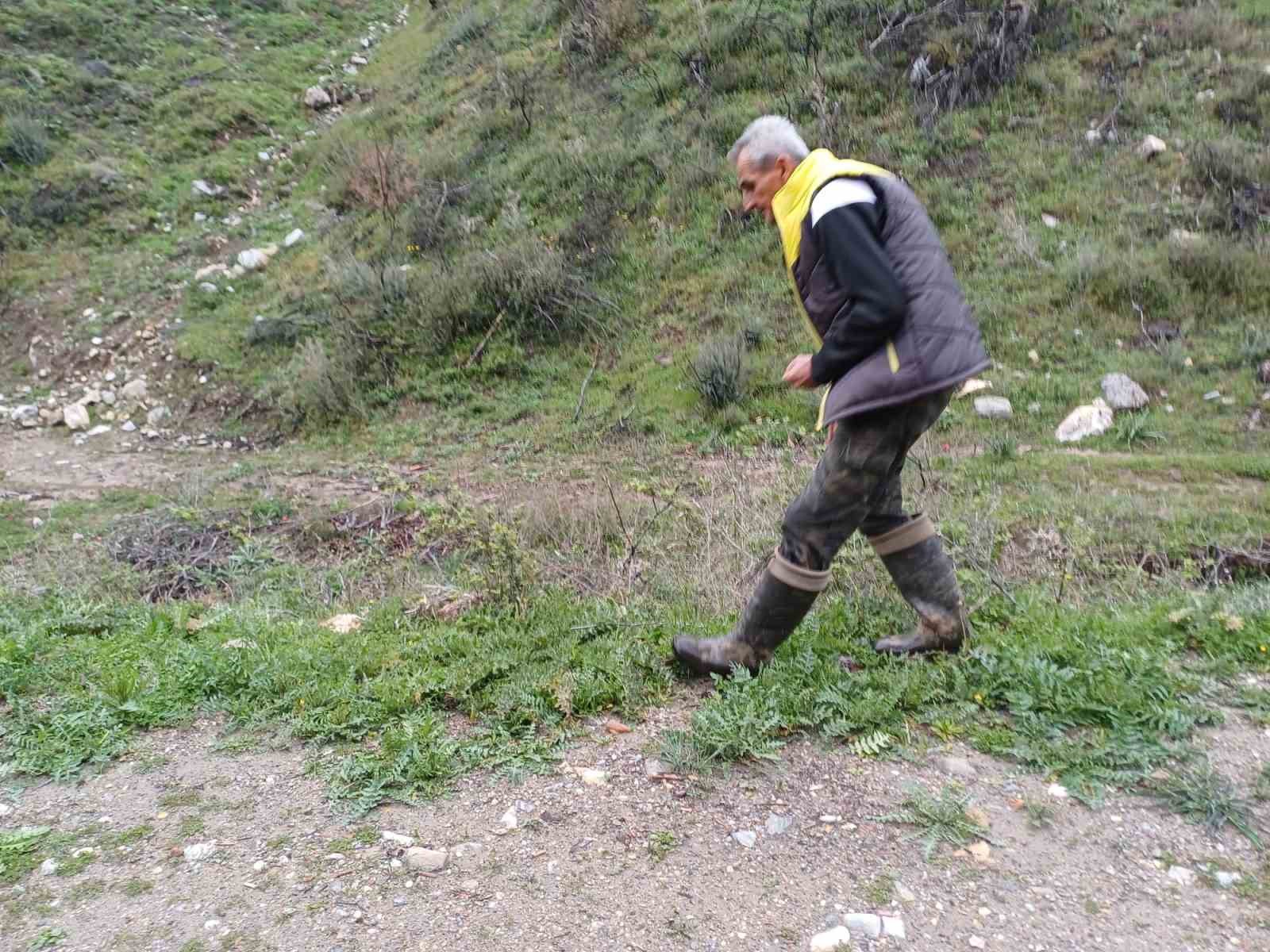 manisada kuzugobegi tutkusu engel tanimiyor 2