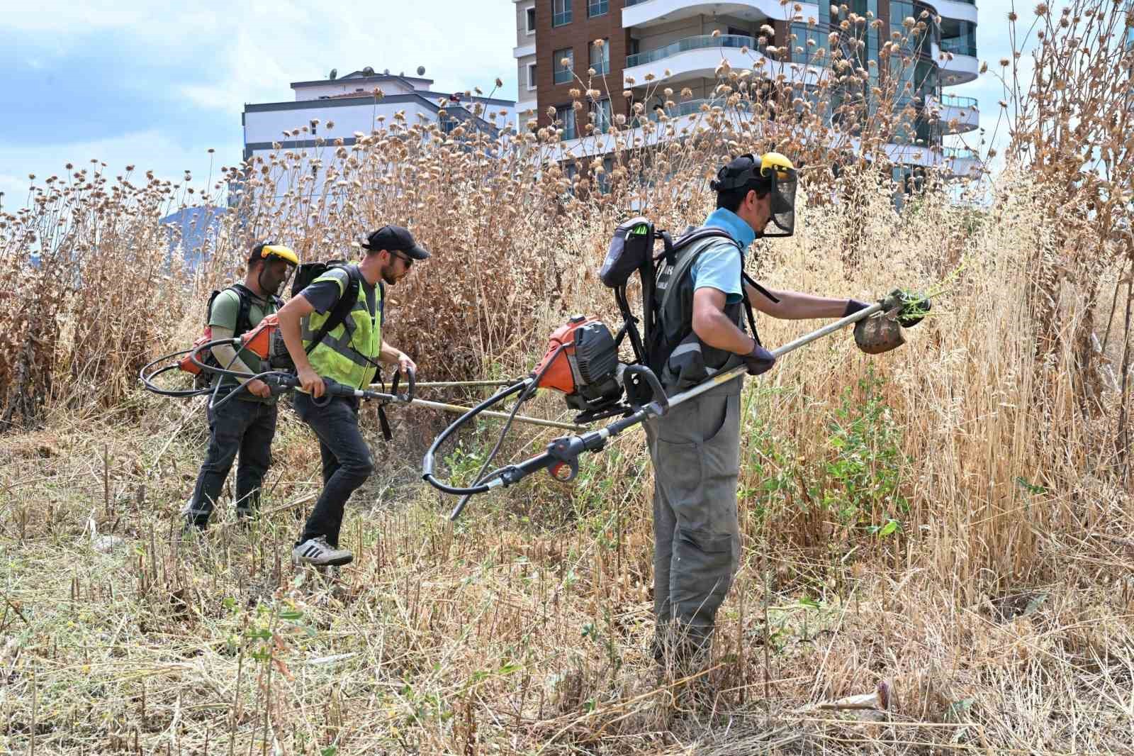 manisada yangin riskine karsi yabani otlar temizleniyor 3 4Jm9mr8F