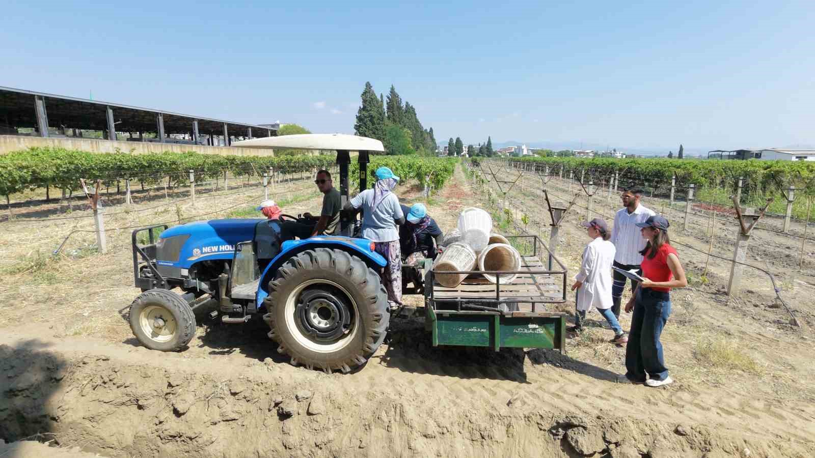 Manisa’dan dünyaya üzüm ihracatı başladı 5 manisadan dunyaya uzum ihracati basladi 1 83KzCU83