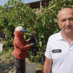 manisadan-dunyaya-uzum-ihracati-basladi-CfTy9wal.jpg