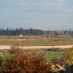 manisalilar-bydnin-fabrika-yatirimini-askiya-almasini-degerlendirdi-7S1N73Jl.jpg