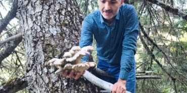 mantar-avcilarinin-agac-tepelerinde-tehlikeli-avi-CeydJ3Yf.jpg
