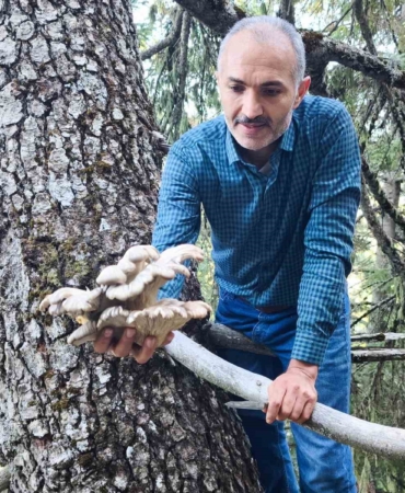 mantar-avcilarinin-agac-tepelerinde-tehlikeli-avi-CeydJ3Yf.jpg