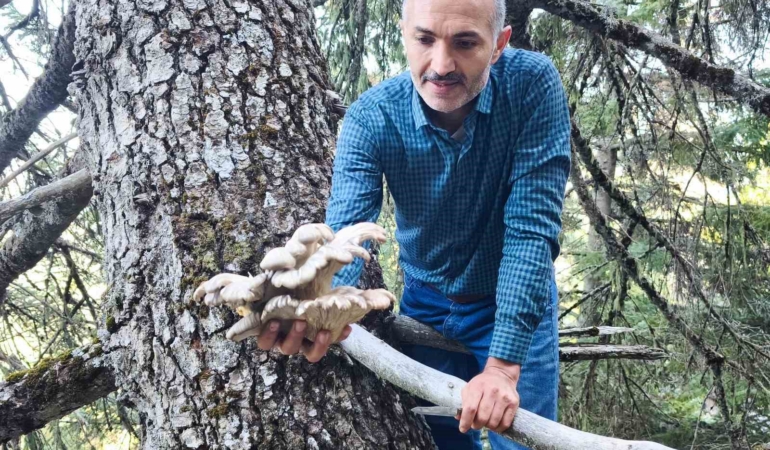 mantar-avcilarinin-agac-tepelerinde-tehlikeli-avi-CeydJ3Yf.jpg