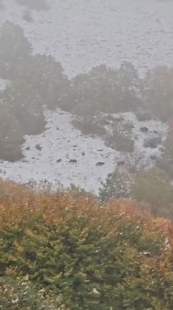 mantar toplamak icin araziye cikti nisan kari ile karsilasti 2 Z2ZwjXyz