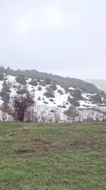 mantar toplamak icin araziye cikti nisan kari ile karsilasti 4 hNBnzfVZ