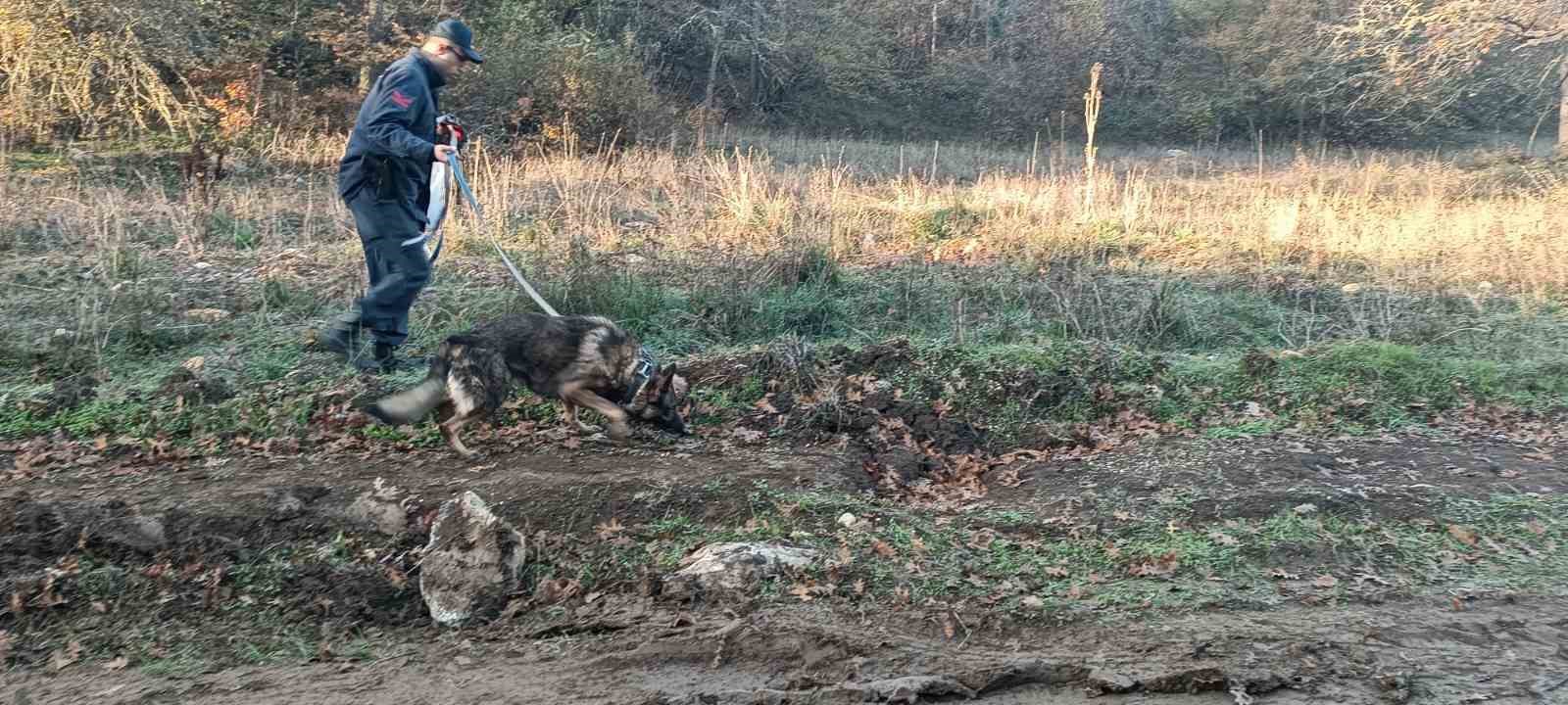 mantar toplamak icin gittigi ormanlik alanda kaybolan adami 96 kisilik ekip ariyor 0 LJDs258D