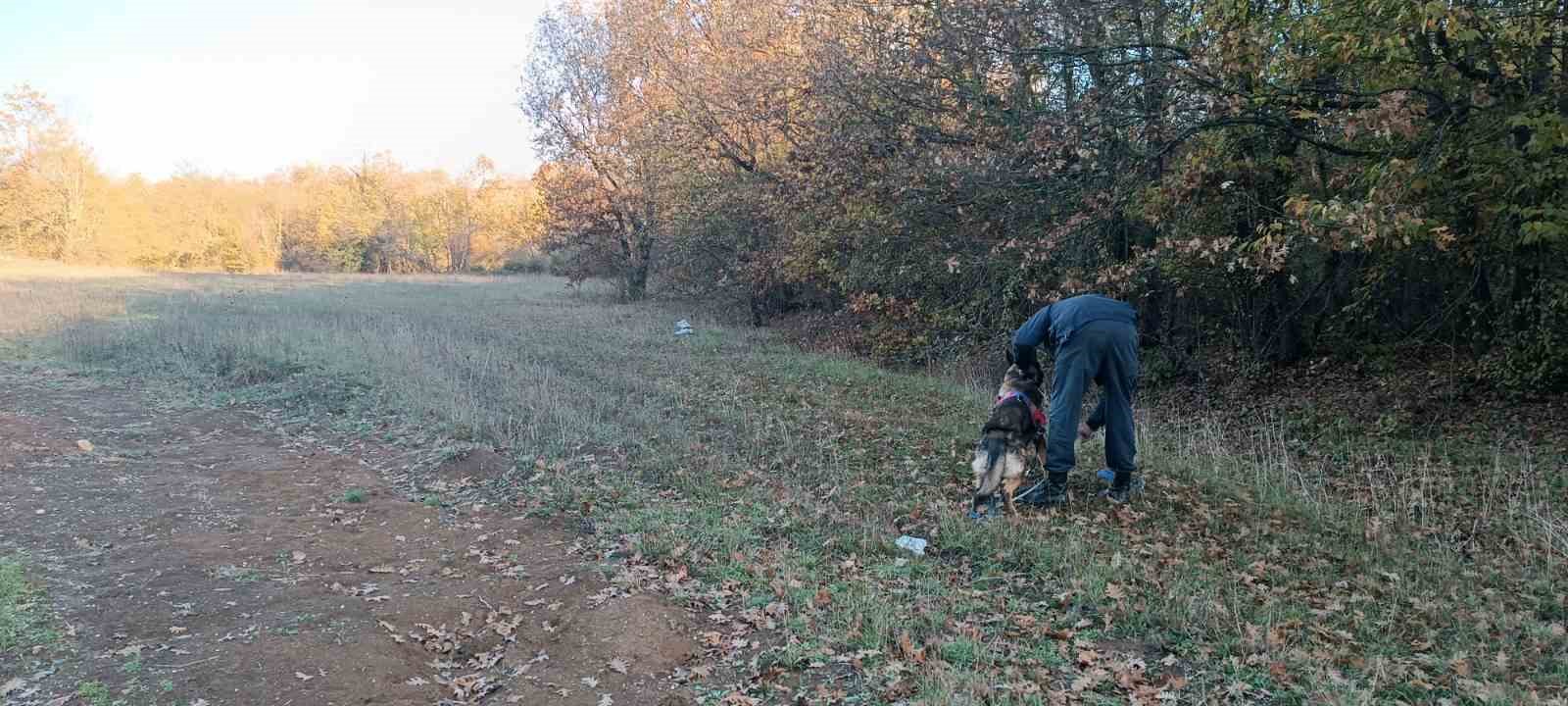 mantar toplamak icin gittigi ormanlik alanda kaybolan adami 96 kisilik ekip ariyor 3 MJBFDKd2