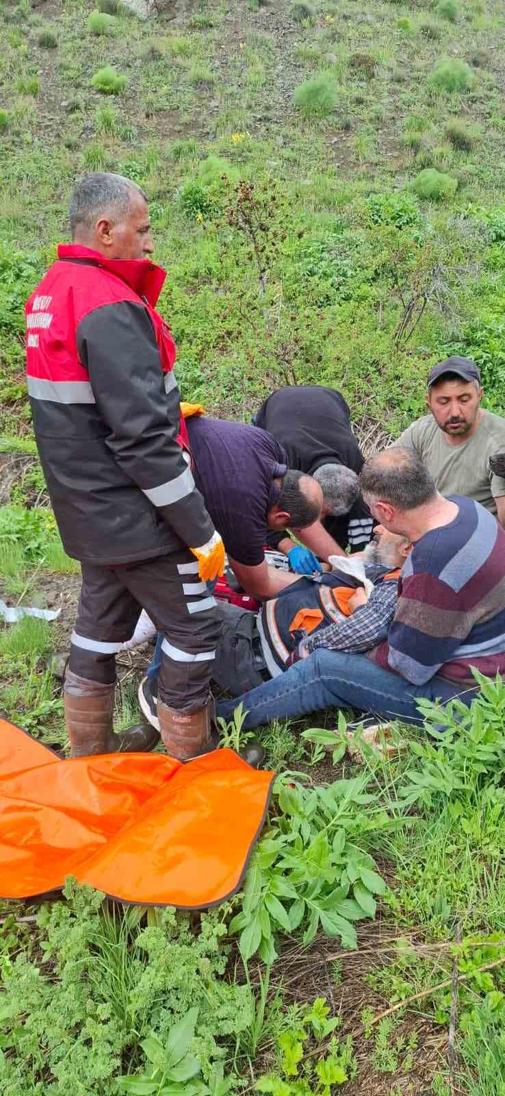 mantar toplarken ayi saldirisina ugradi 2 47jRSm8y