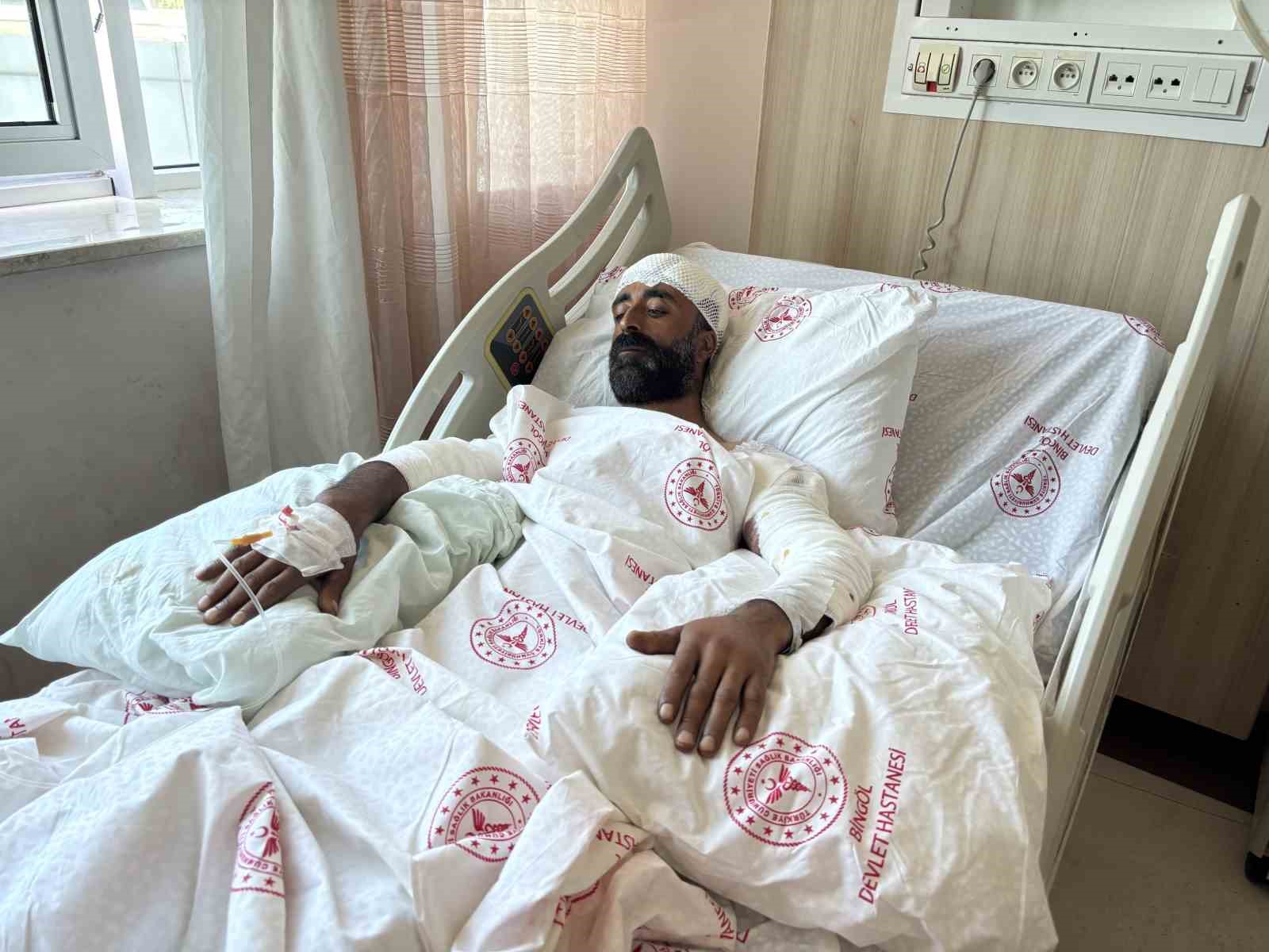 mantar toplarken ayi saldirisina ugradi kollariyla basini siper ederek hayatta kaldi 1