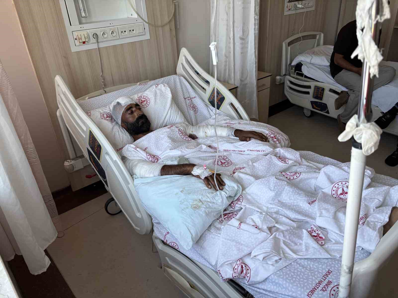 mantar toplarken ayi saldirisina ugradi kollariyla basini siper ederek hayatta kaldi 2 9NjNrn8C