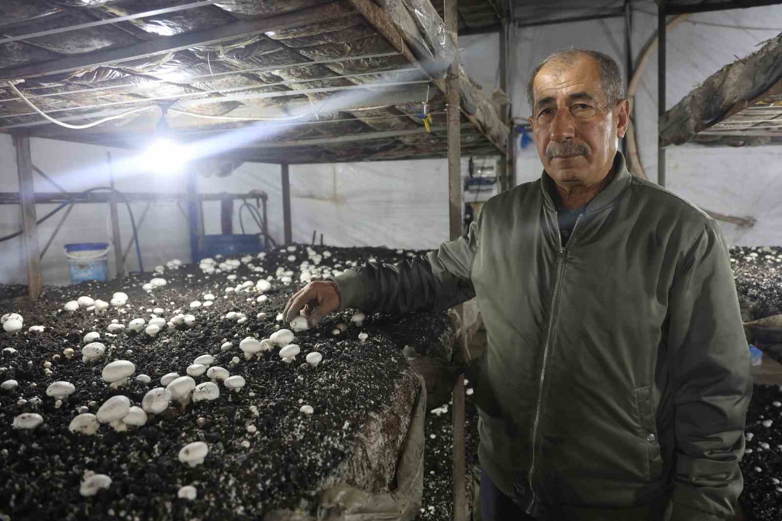 Mantar üreticiliğine ilk adımı ahırda attı, varını yoğunu satıp kurduğu 3 çadırda mantar üretiyor 7 mantar ureticiligine ilk adimi ahirda atti varini yogunu satip kurdugu 3 cadirda mantar uretiyor VUkZ5v1t