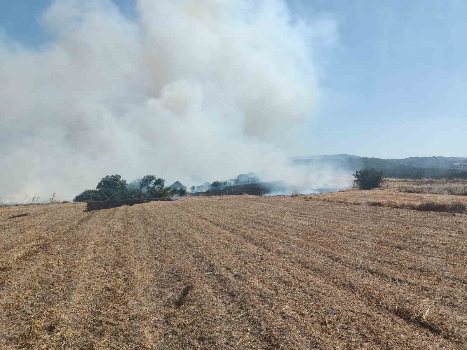 manyasta cikan aniz ve orman yangini sonduruldu 0 fvOUiv1I