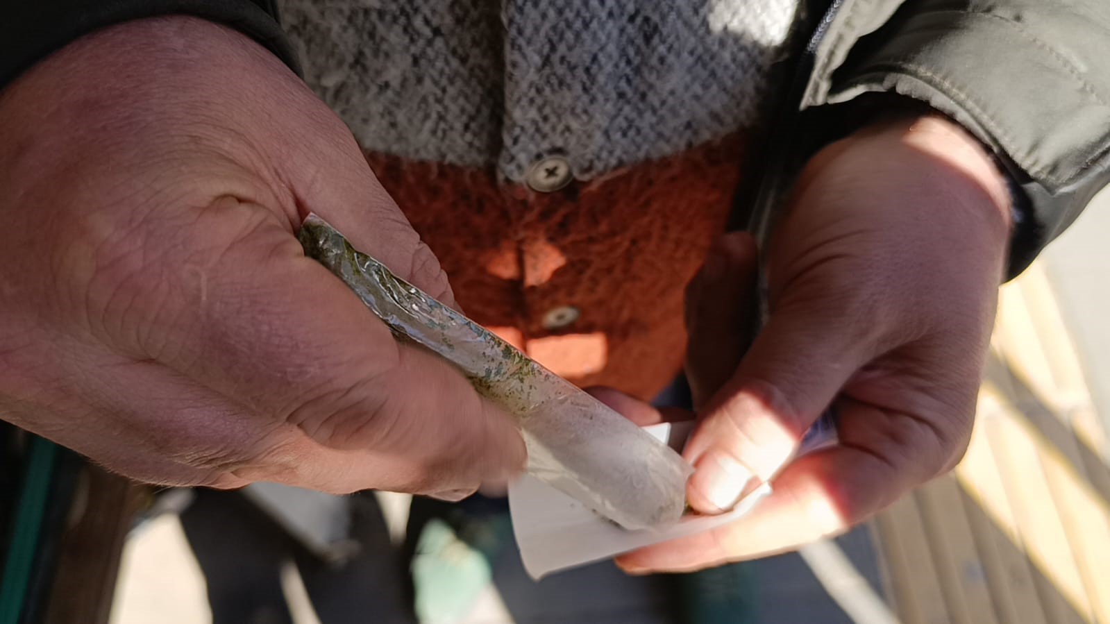 maras otu kullananlar dikkat gunde 8 paket sigaraya bedel 2