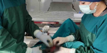 mardin-hayvan-bakimevinde-kopekteki-1-kiloluk-tumor-operasyonla-alindi-7QQjxPaL.jpg