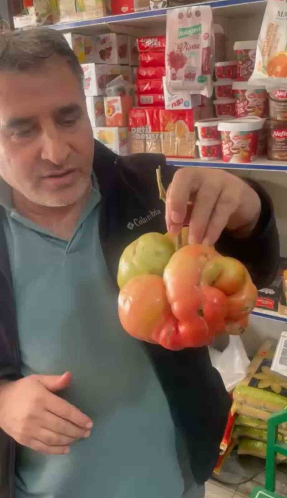 mardinde 1 kilo 400 gramlik domates hayrete dusurdu 0 iyh2RA9m