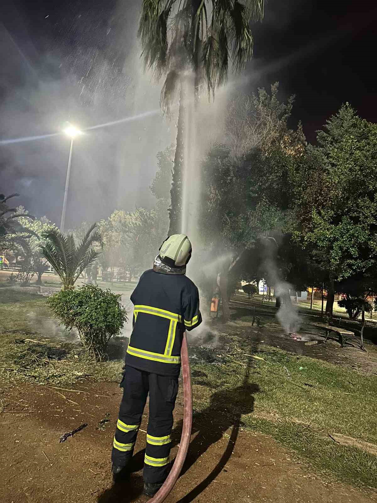 mardinde 15 yillik palmiye agacini atese verdiler 1 NvXe9ZtP